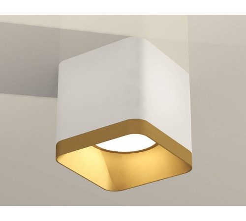 Накладной светильник Ambrella Light Xs780 XS7805004