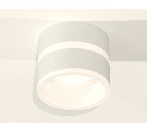 Накладной светильник Ambrella Light XS XS8101019