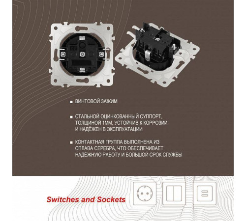 Розетка с заземлением и шторками Arte Milano am-202 202.40-1.black