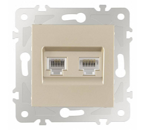 Розетка двойная RJ-11 и Ethernet RJ-45, без рамки Arte Milano am-203 203.44-1.shampan