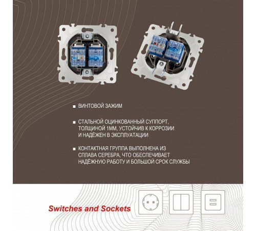 Розетка двойная RJ-11 и Ethernet RJ-45, без рамки Arte Milano am-203 203.44-1.shampan