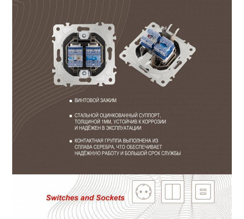 Розетка двойная RJ-11 и Ethernet RJ-45, без рамки Arte Milano am-205 205.44-1.shampan