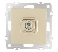 ТВ-розетка без рамки Arte Milano am-206 206.42-1.shampan