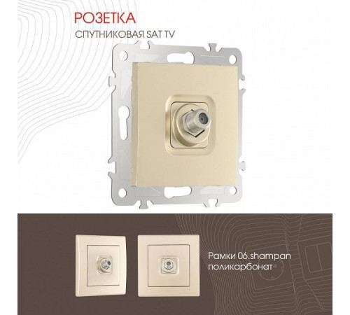 ТВ-розетка без рамки Arte Milano am-206 206.42-1.shampan