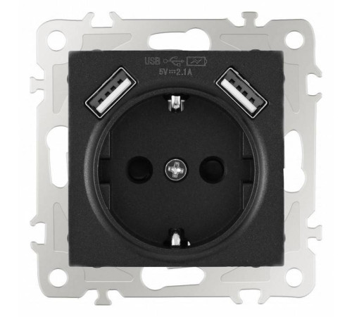 Розетка с заземлением и со шторкой и 2хUSB, без рамки Arte Milano am-206 206.47-1.black