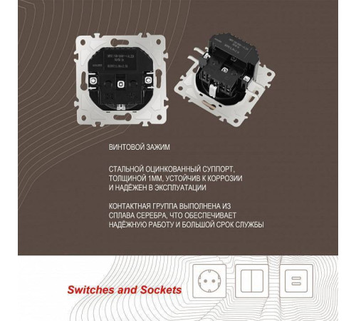 Розетка с заземлением и со шторкой и 2хUSB, без рамки Arte Milano am-206 206.47-1.shampan