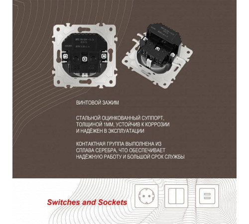 Розетка с заземлением и со шторкой и 2хUSB, без рамки Arte Milano am-206 206.47-1.silver