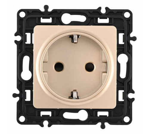 Розетка с заземлением и со шторкой, без рамки Arte Milano am-217 217.40-1.shampan