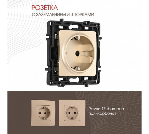 Розетка с заземлением и со шторкой, без рамки Arte Milano am-217 217.40-1.shampan