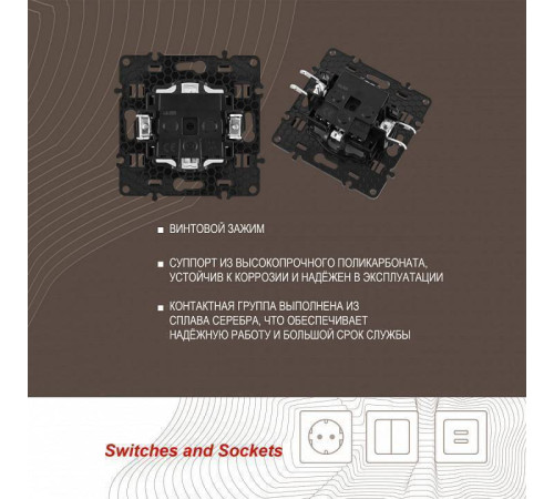 Розетка с заземлением и со шторкой, без рамки Arte Milano am-217 217.40-1.shampan