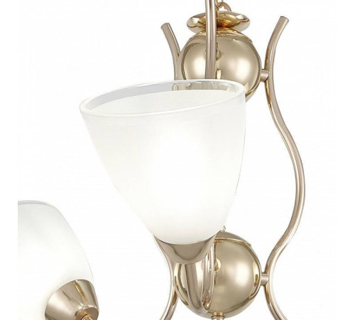 Подвесная люстра Arte Milano Amalfi-5816 3 лампы 335816/3 FGD