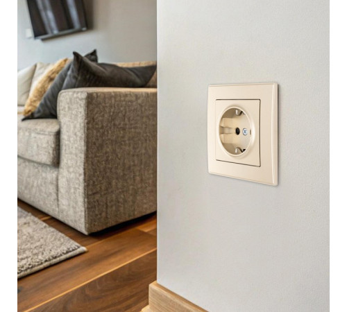 Розетка с заземлением и со шторкой Arte Milano SET06-1 SET06-1-40-1 shampan