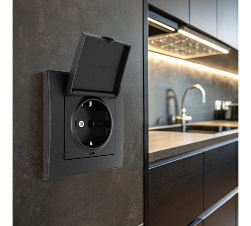 Розетка с заземлением и шторкой, с крышкой Arte Milano SET06-1 SET06-1-41-1 black
