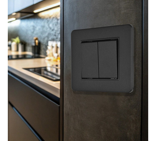 Выключатель двухклавишный Arte Milano SET16-1 SET16-1-30-2 black