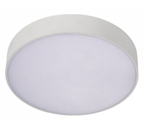 Накладной светильник Aployt Evon APL.0114.09.18