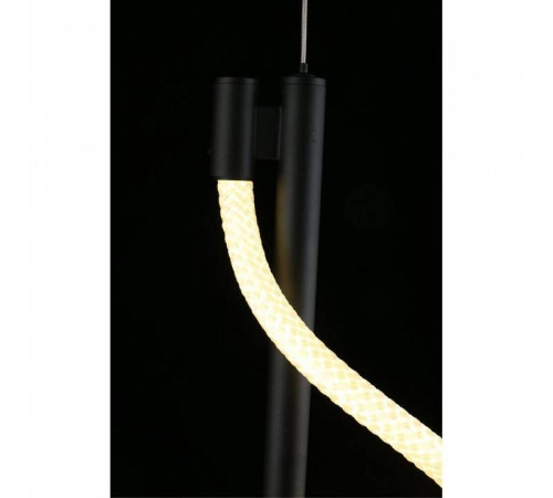 Подвесной светильник Aployt Luki APL.065.06.12