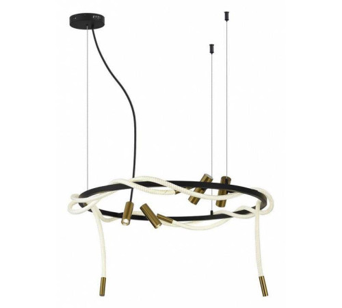 Подвесная люстра Aployt Malgorzata APL.066.03.70