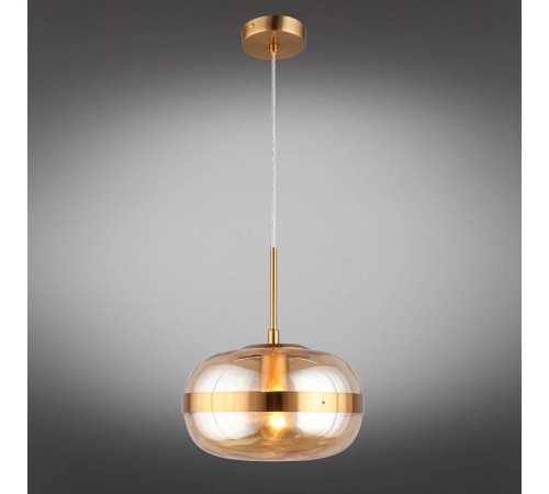 Подвесной светильник Aployt Gabriela APL.305.16.01