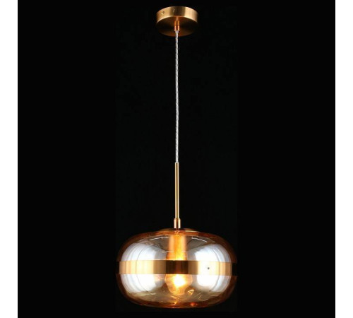 Подвесной светильник Aployt Gabriela APL.305.16.01