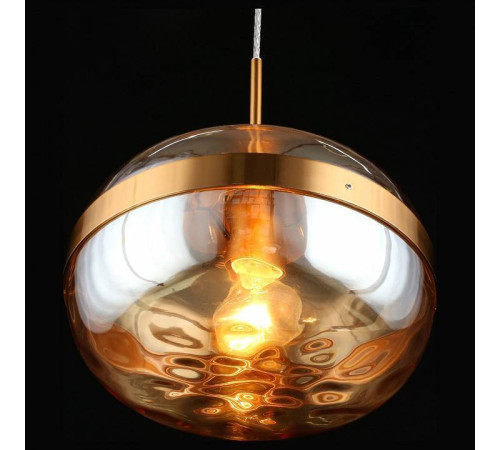 Подвесной светильник Aployt Gabriela APL.305.16.01