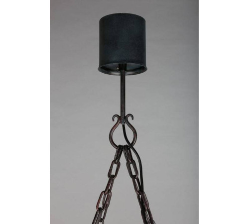 Подвесная люстра Aployt Simona APL.500.03.08