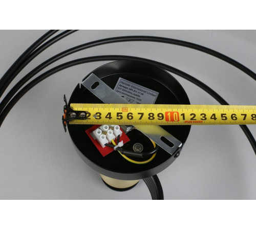 Потолочная люстра Aployt Flor APL.611.17.06