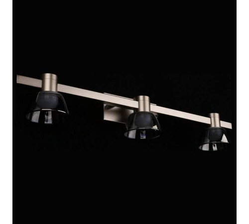 Бра Aployt Rezeda APL.788.01.03