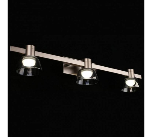 Бра Aployt Rezeda APL.788.01.03