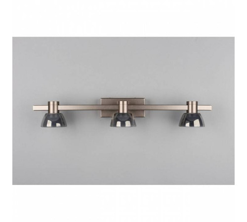 Бра Aployt Rezeda APL.788.01.03