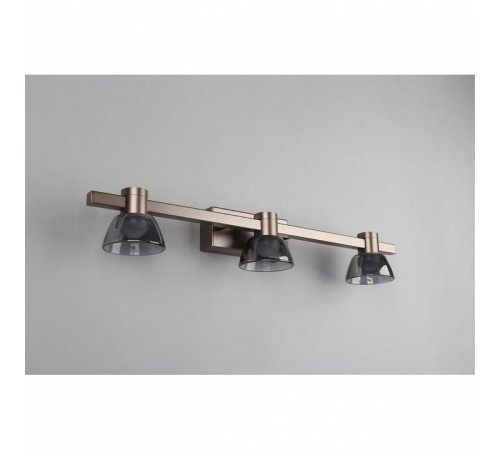 Бра Aployt Rezeda APL.788.01.03