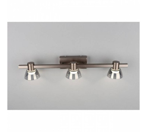 Бра Aployt Rezeda APL.788.01.03