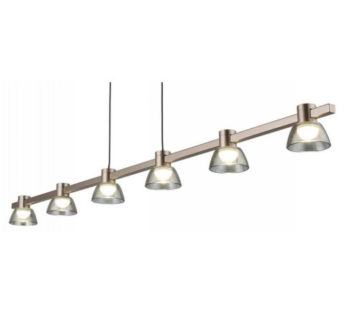 Подвесной светильник Aployt Rezeda APL.788.03.06