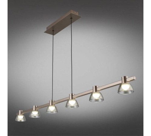 Подвесной светильник Aployt Rezeda APL.788.03.06