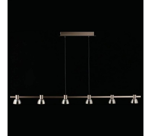 Подвесной светильник Aployt Rezeda APL.788.03.06