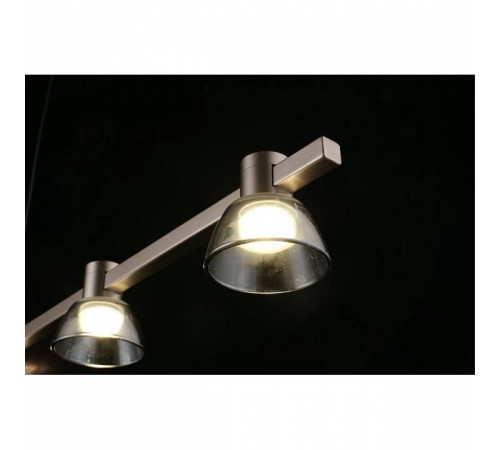 Подвесной светильник Aployt Rezeda APL.788.03.06