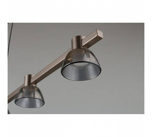 Подвесной светильник Aployt Rezeda APL.788.03.06