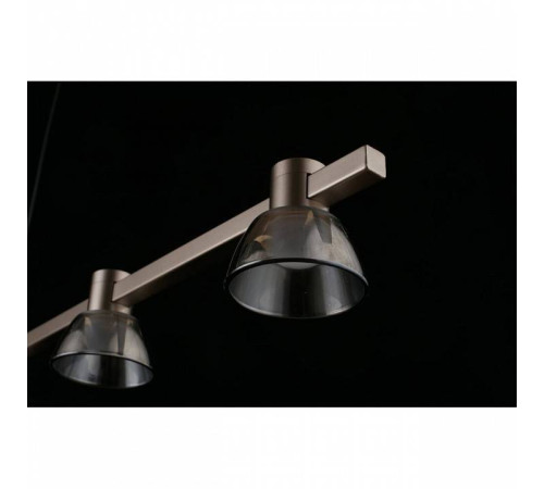 Подвесной светильник Aployt Rezeda APL.788.03.06