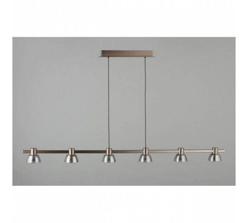 Подвесной светильник Aployt Rezeda APL.788.03.06