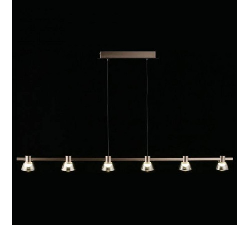 Подвесной светильник Aployt Rezeda APL.788.03.06