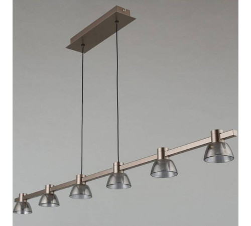 Подвесной светильник Aployt Rezeda APL.788.03.06