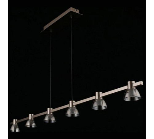 Подвесной светильник Aployt Rezeda APL.788.03.06