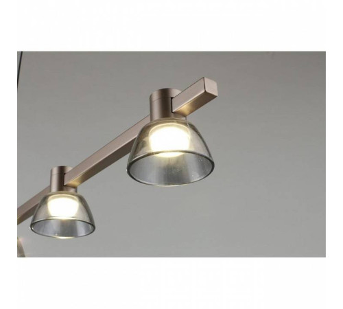 Подвесной светильник Aployt Rezeda APL.788.03.06