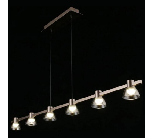 Подвесной светильник Aployt Rezeda APL.788.03.06