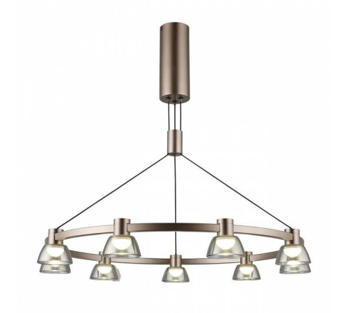 Подвесная люстра Aployt Rezeda APL.788.03.09