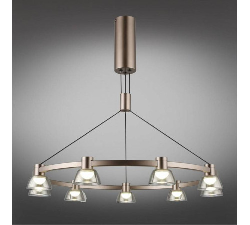 Подвесная люстра Aployt Rezeda APL.788.03.09