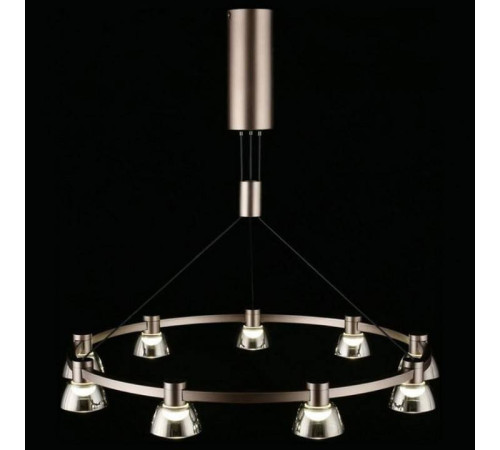 Подвесная люстра Aployt Rezeda APL.788.03.09