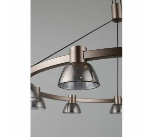 Подвесная люстра Aployt Rezeda APL.788.03.09