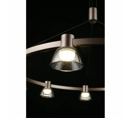 Подвесная люстра Aployt Rezeda APL.788.03.09