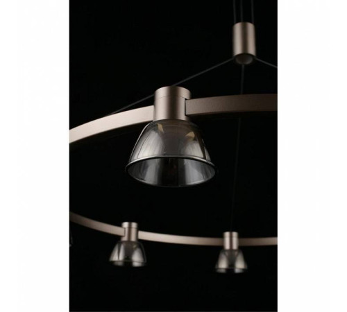 Подвесная люстра Aployt Rezeda APL.788.03.09