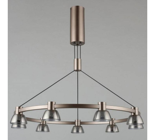 Подвесная люстра Aployt Rezeda APL.788.03.09